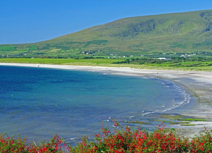 Shannons Gate Holiday Home Killorglin in Killorglin, Condado de Kerry