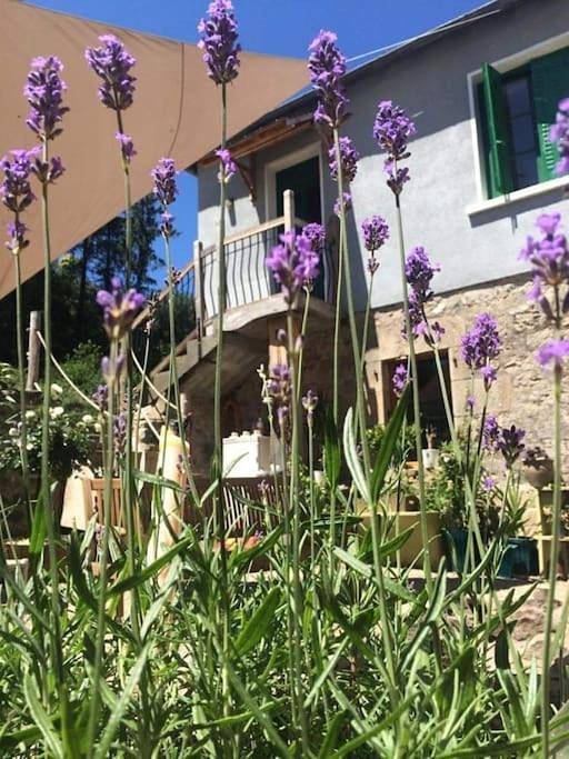 Appartement de vacances pour 3 personnes, avec Balcon et Terrasse ainsi que Jardin et Vue