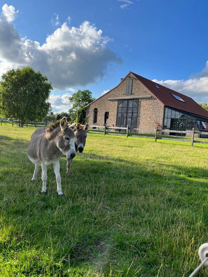 Location de vacances pour 8 personnes, avec terrasse et vue à Heuvelland - 2