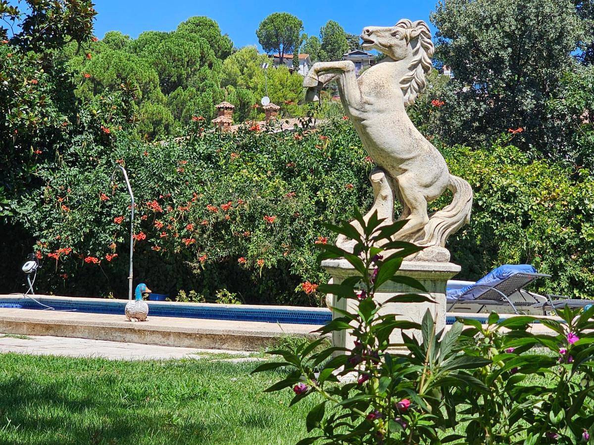 Escapada Perfecta en Las Jaras Planta baja independiente con piscina privada in Pelayos de la Presa, Provincia de Madrid