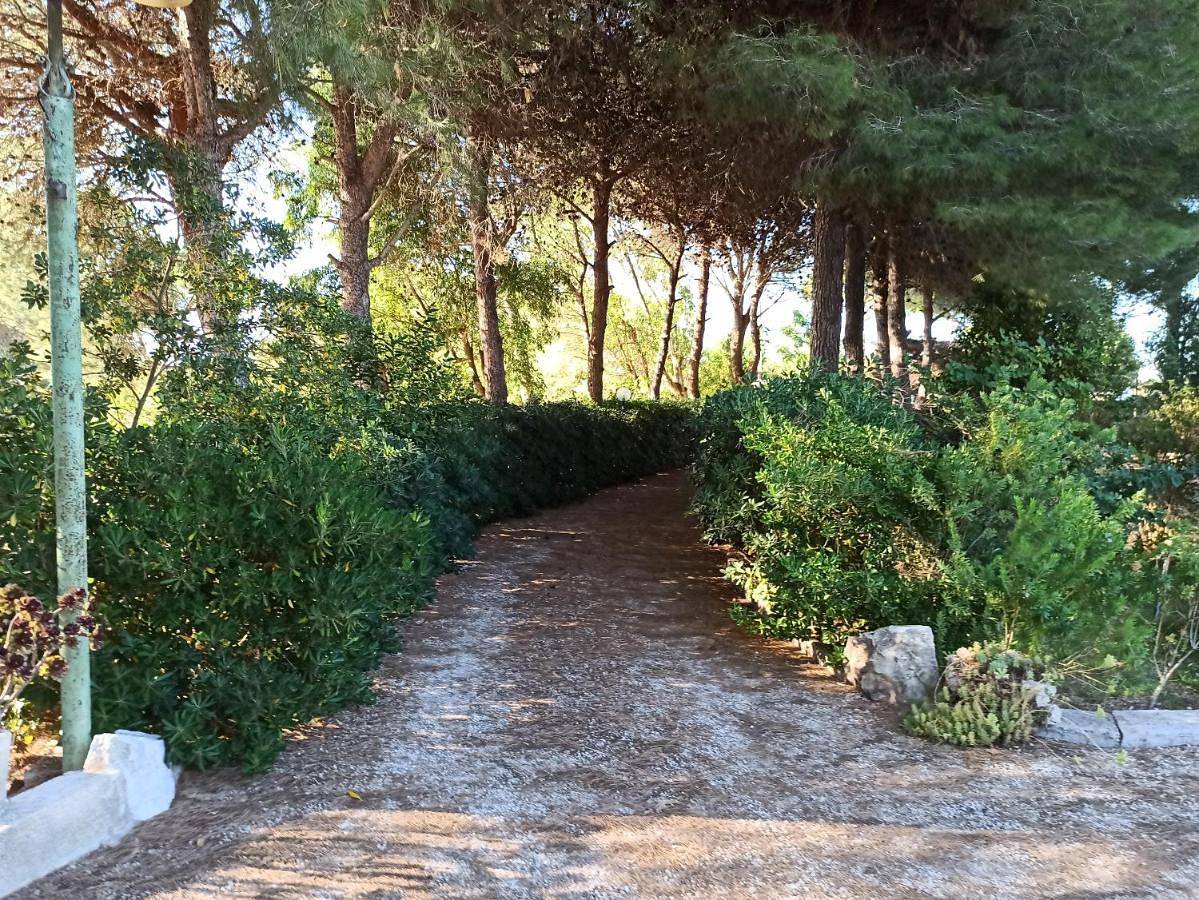 Casa dei Nonni by Briciole di Gusto - 3000mq di relax in giardino a 1500m dal mare in Lecce, Provincia di Lecce