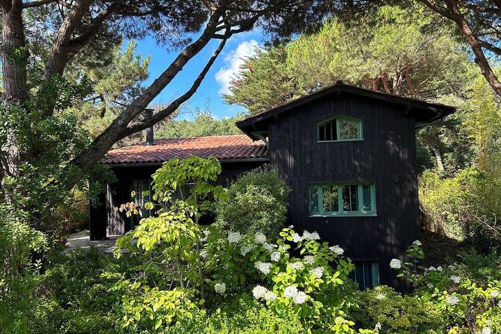 Holiday rental for 9 people, with hot tub and sauna as well as garden, with pets in Cap Ferret