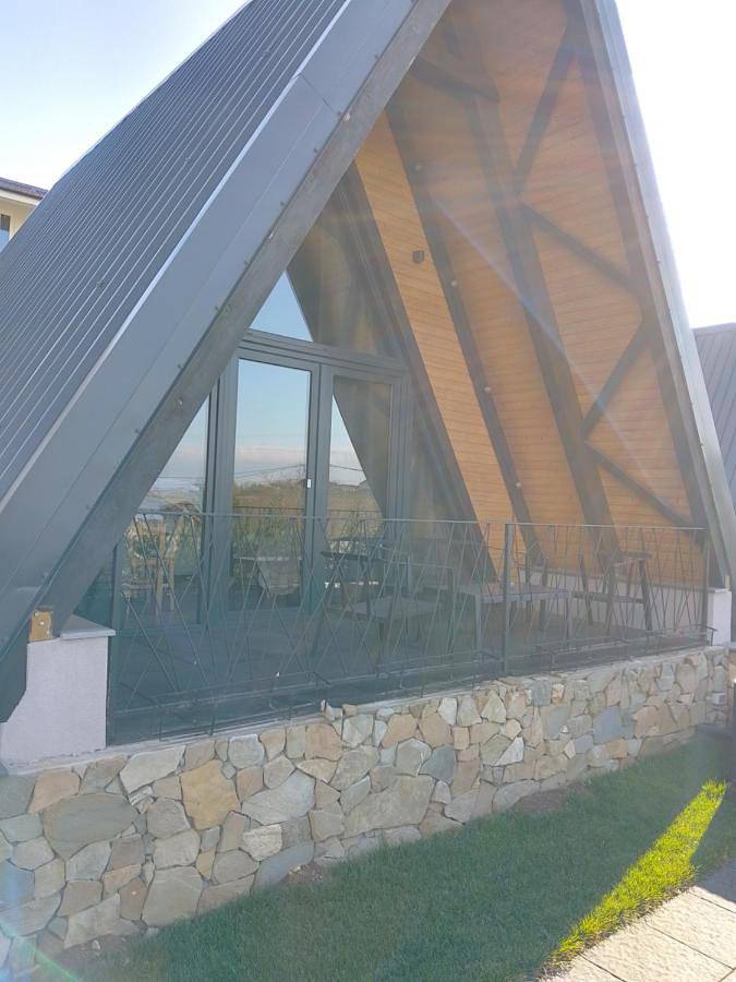 Gîte pour 4 personnes, avec jacuzzi et sauna ainsi que piscine et jardin, animaux acceptés à Alba (Romania) - 2