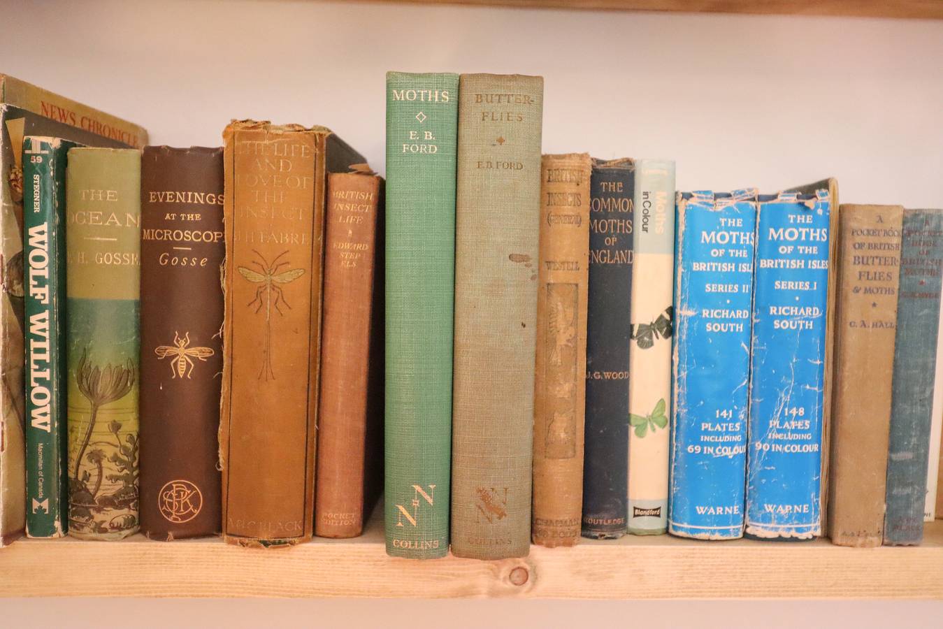 Warren Cottage in Suffolk