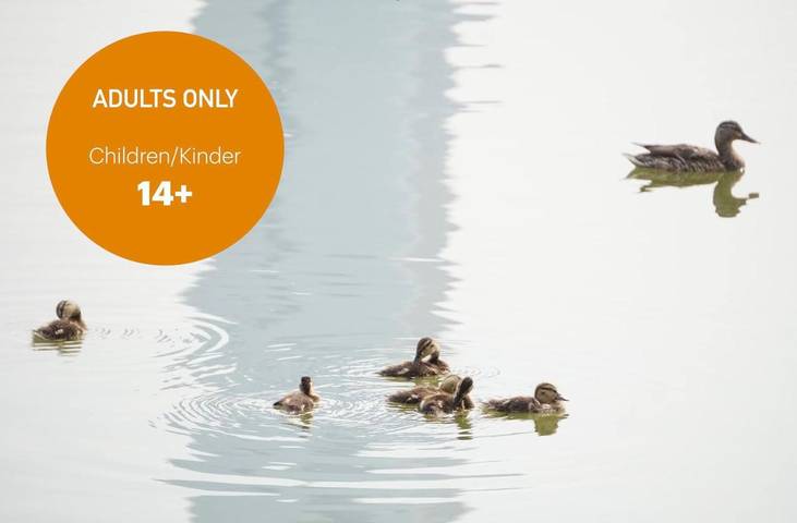 Ferienwohnung für 4 Personen, mit Ausblick und Balkon sowie Seeblick in Sankt Wolfgang im Salzkammergut - 3