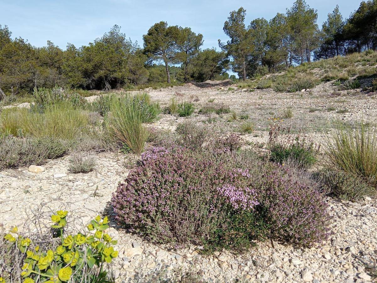 Appartement entier, Two-Bedroom Apartment in Meyrargues, Région d'Aix-en-Provence