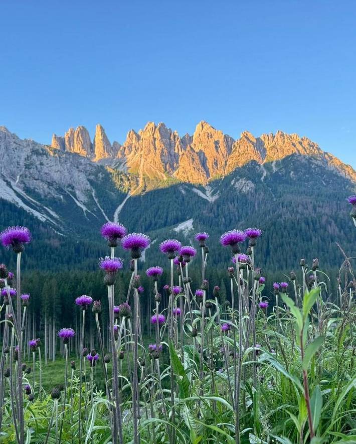 Gîte pour 4 personnes, avec vue à Santo Stefano di Cadore - 4