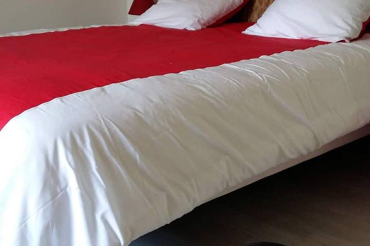 Gîte pour 8 personnes, avec jardin ainsi que sauna et jacuzzi à Vebret - 3