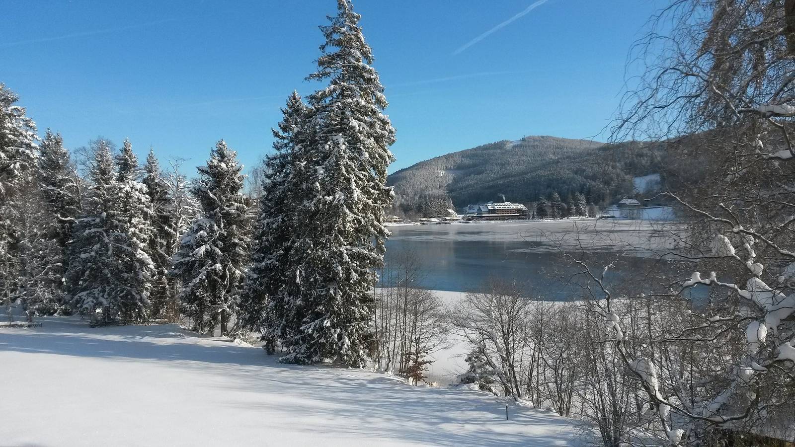 Ferienhaus am Titisee - mit Seeblick & eigenem Seezugang, Hinterzarten in Titisee, Hinterzarten