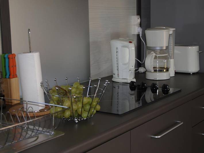 Gîte pour 4 personnes, avec jardin et piscine, animaux acceptés à Orist - 4