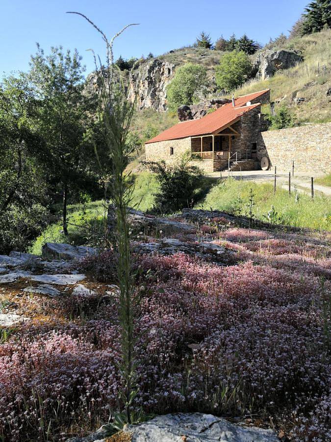 Casa de férias para 6 pessoas, com Varanda e Terraço e ainda Jardim and Vista para o lago em Mirandela