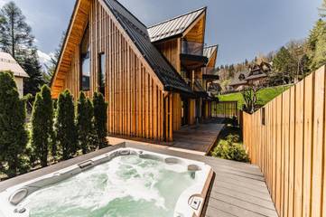 Gîte pour 3 personnes, avec terrasse et jacuzzi, animaux acceptés à Zakopane