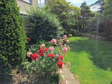 Bauernhof für 3 Personen in Büsum, Nordseeküste, Bild 1