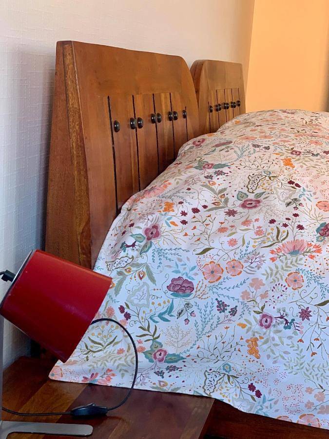 Location de vacances pour 3 personnes, avec jardin et vue à Dieffenthal - 3