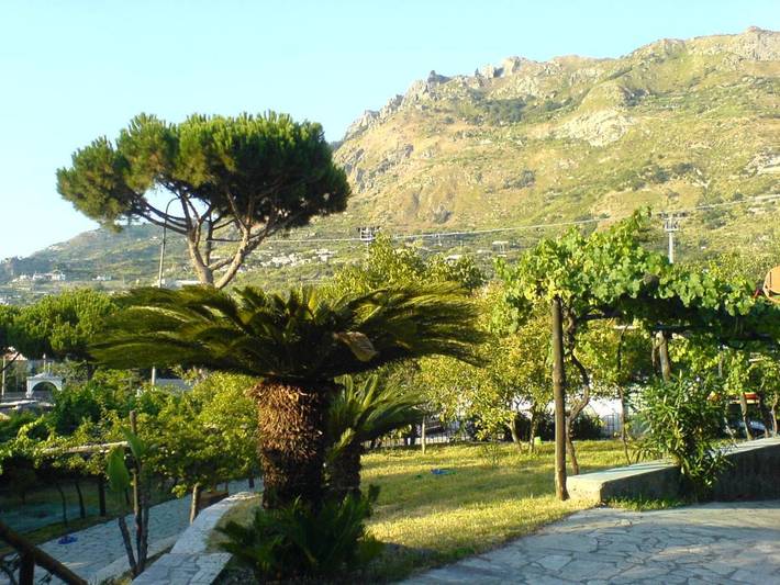 Villa pour 5 personnes, avec Terrasse à Panza