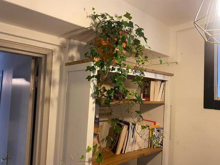 Appartement entier, Two-Bedroom Apartment in Talence, Région de Bordeaux