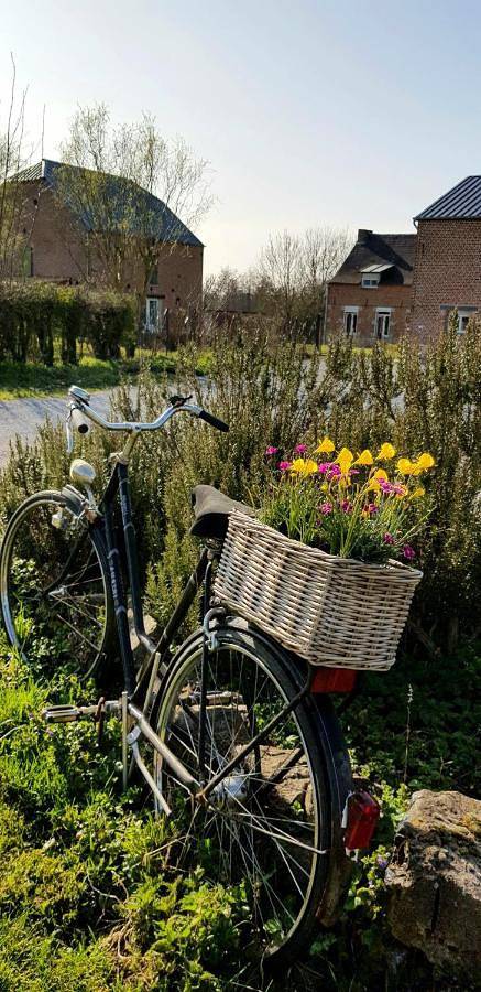 Location de vacances pour 2 personnes, avec piscine ainsi que jardin et vue à Aulnoye-Aymeries - 4