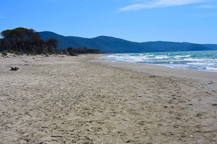 Holiday rental for 4 people, with garden and terrace, with pets in Grosseto