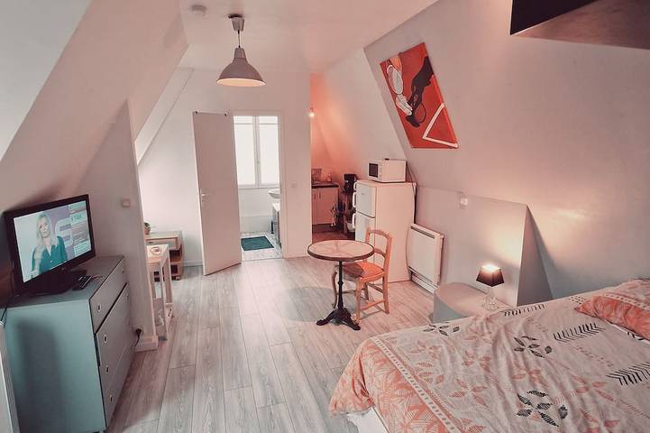 Gîte pour 2 personnes, animaux acceptés à Sèvres - 2