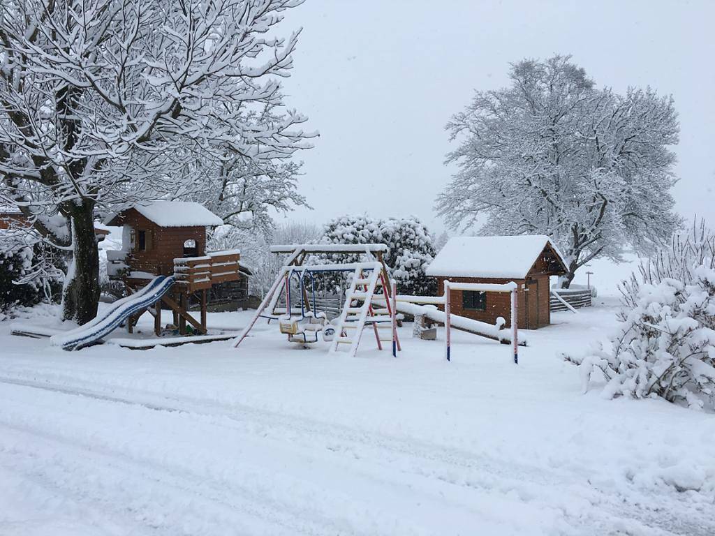 Strassbauernhof Familie Lothspieler - Bichlbirn in Steinakirchen am Forst, Mostviertel Region