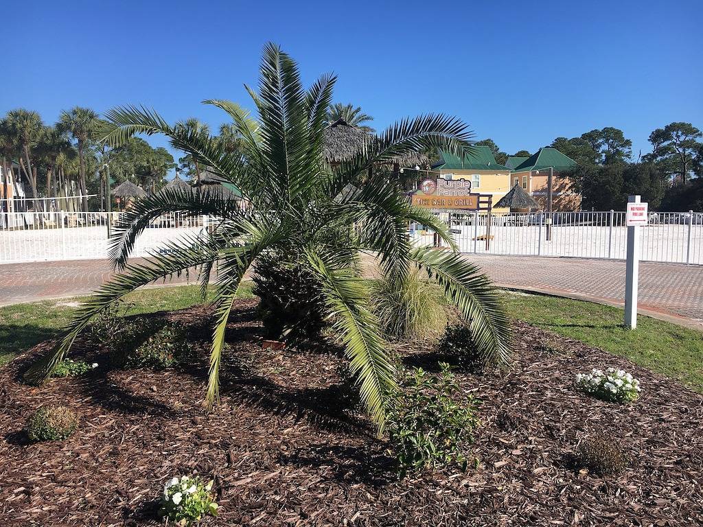 Slow Mo - Wunderschönes Strandhaus im Purple Parrot Resort Perdido Key Florida in Johnsons Beach, Perdido Key