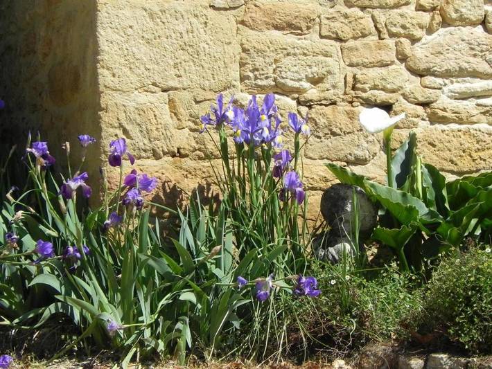 Location de vacances pour 4 personnes, avec jardin et terrasse à Calviac-en-Périgord - 4
