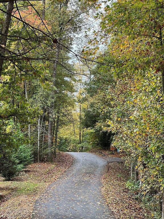 Dog friendly, 2/2 w/kings, Mtn view! Fire pit, Wifi, gas logs. Cherry Log Mtn !! in Cherry Log, Chattahoochee National Forest