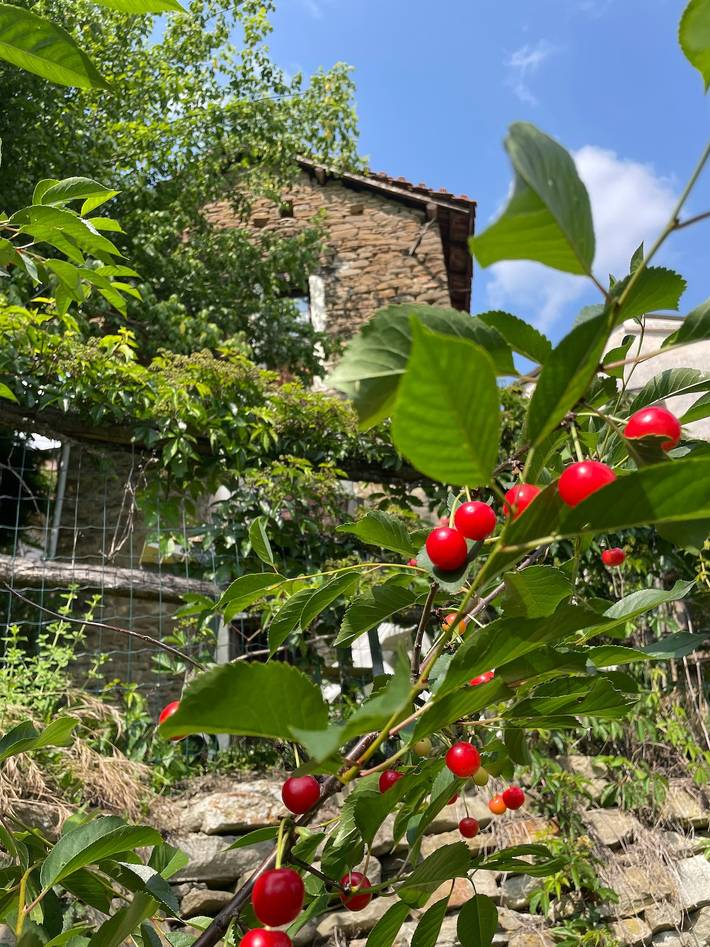 Maison de vacances pour 3 personnes avec terrasse in Prasco, Province d'Alexandrie