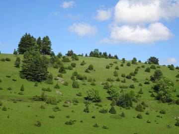 Cottage pour 4 personnes, avec vue et jardin, animaux acceptés à Gomadingen