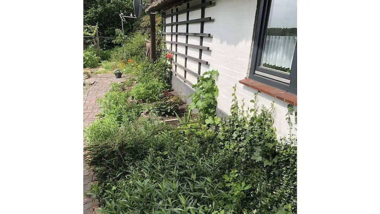 Ferienhaus für 4 Personen (75 m²) in Grasberg in Grasberg, Niedersachsen