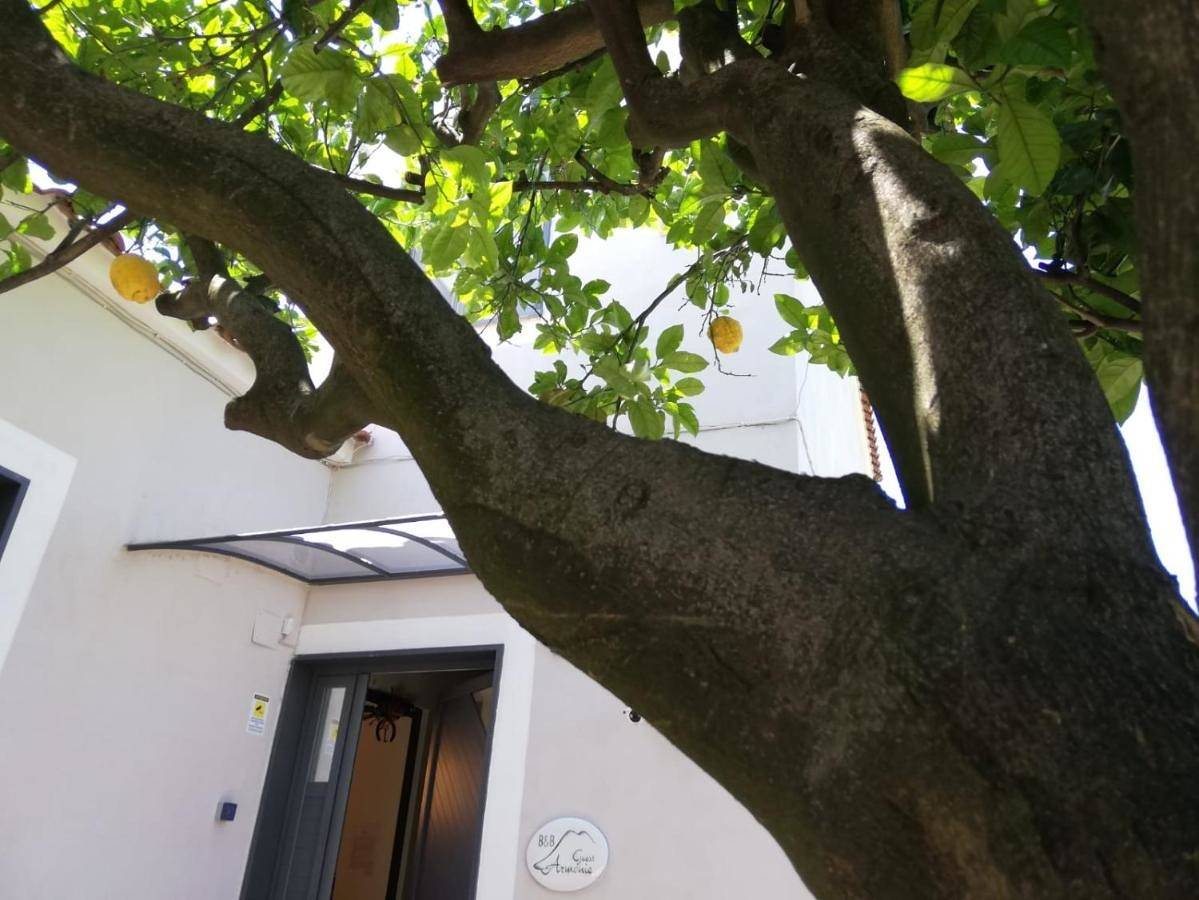 Double Room with Private Bathroom in Torre del Greco, Parco nazionale del Vesuvio