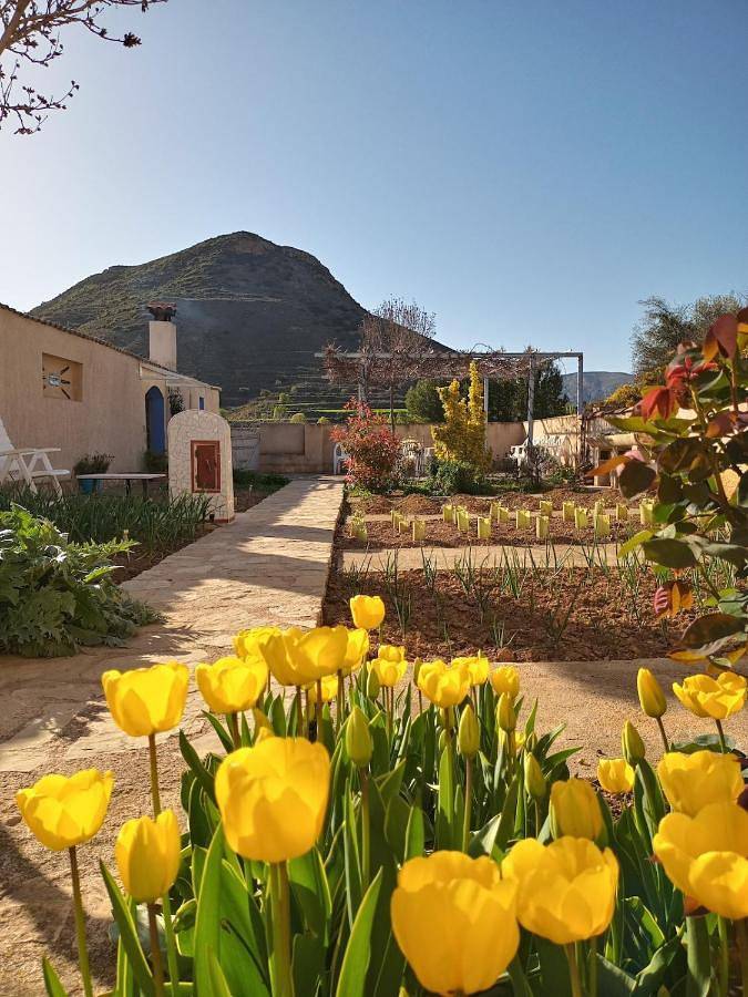 Casa de vacaciones para 6 personas, con terraza y vistas, Se admiten mascotas en Maestrazgo