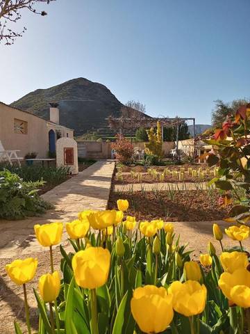 Casa rural para 6 personas, con terraza y vistas, Se admiten mascotas en Castellote