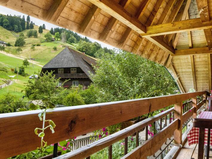 Ferienwohnung für 2 Personen, mit Garten und Balkon in Münstertal - 4