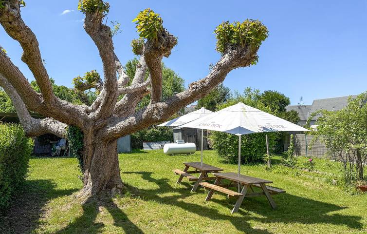 Charmant appartement de 170 m² avec jardin et vue sur le paysage à Payzac in Payzac (Dordogne), Périgord Vert