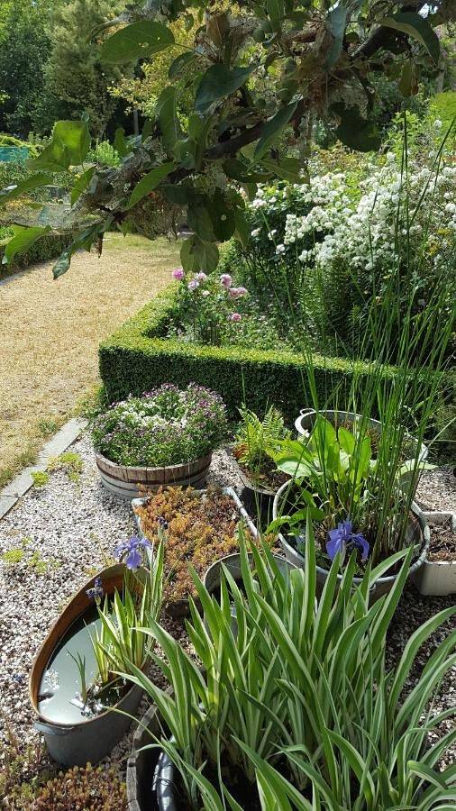 Location de vacances pour 2 personnes, avec jardin et vue à Merelbeke - 4