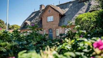 Chalet für 5 Personen auf Sylt