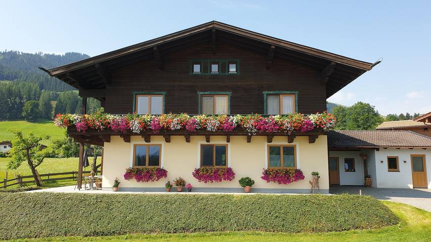 Ferienwohnung für 6 Personen, mit Terrasse und Garten in Saalbach-Hinterglemm-Leogang - 2