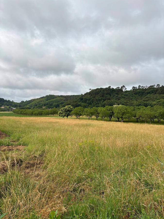 Location de vacances pour 3 personnes, avec vue ainsi que terrasse et jardin, animaux acceptés à Calviac-en-Périgord - 3