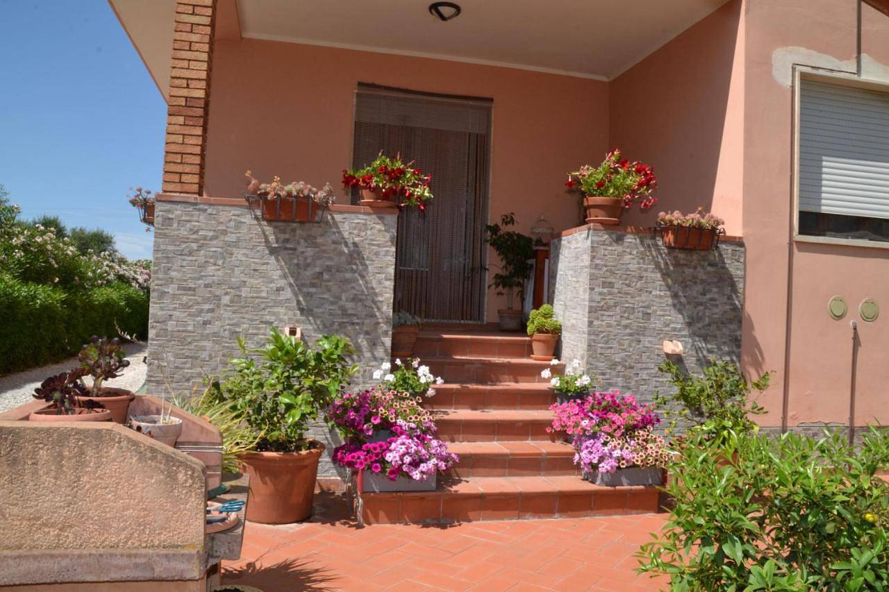 La Mimosa in Castagneto Carducci, Etruskische kust