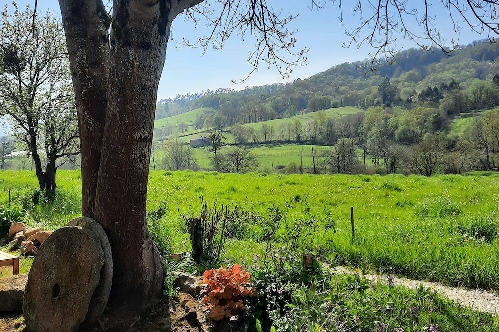 The Painter's Cottage. Country house in Asturias. Relax while looking at 1 native forest in Nava, Asturias Province