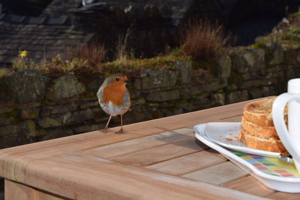 Chapel Bank House | Coniston in Coniston, Lake District