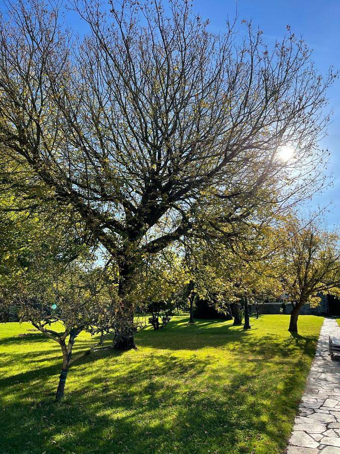 Chalet para 17 personas, con jardín además de vistas y piscina, Se admiten mascotas en Comarca de Santander - 3