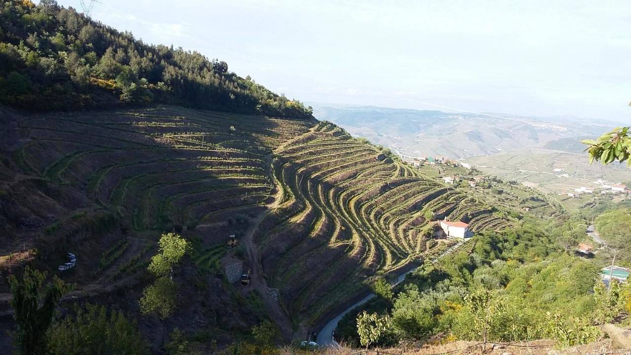 Casa da Quinta do Porto in Lamego, Vale do Douro