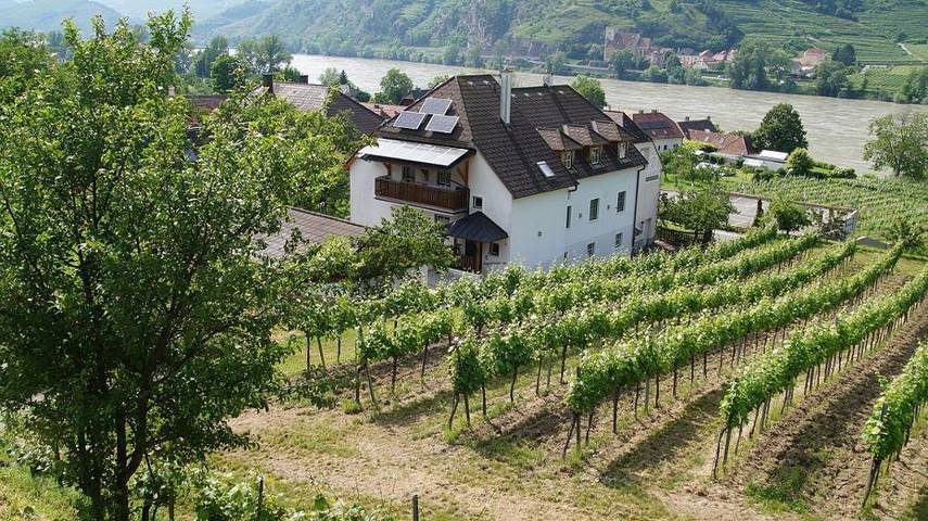 Ganze Wohnung, Weinbau und Gästezimmer Pammer - Doppelzimmer (16 qm) mit Terrasse in Rossatz-Arnsdorf, Bezirk Krems an der Donau-Land