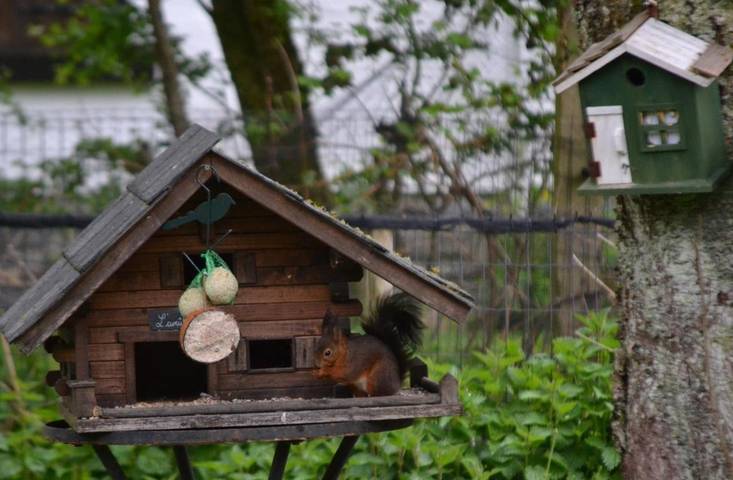 Maison d’hôte pour 2 personnes, avec jardin et vue à Malmedy - 2