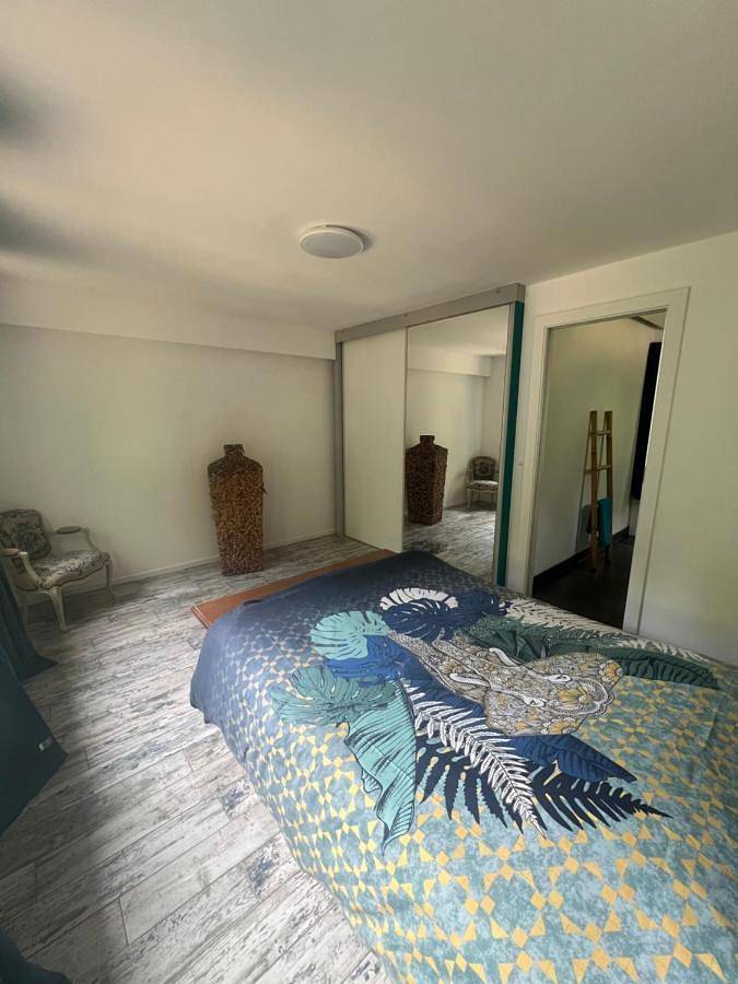 Gîte pour 4 personnes, avec jardin à Wingen-sur-Moder - 4