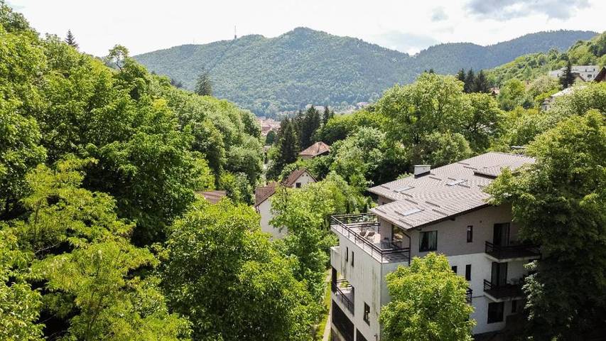 Maison d’hôte pour 30 personnes, avec vue et jardin à Brașov - 3