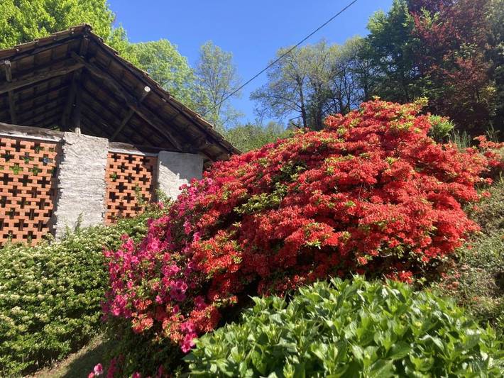 Location de vacances pour 2 personnes, avec jardin ainsi que vue et vue sur le lac à Orta San Giulio - 3