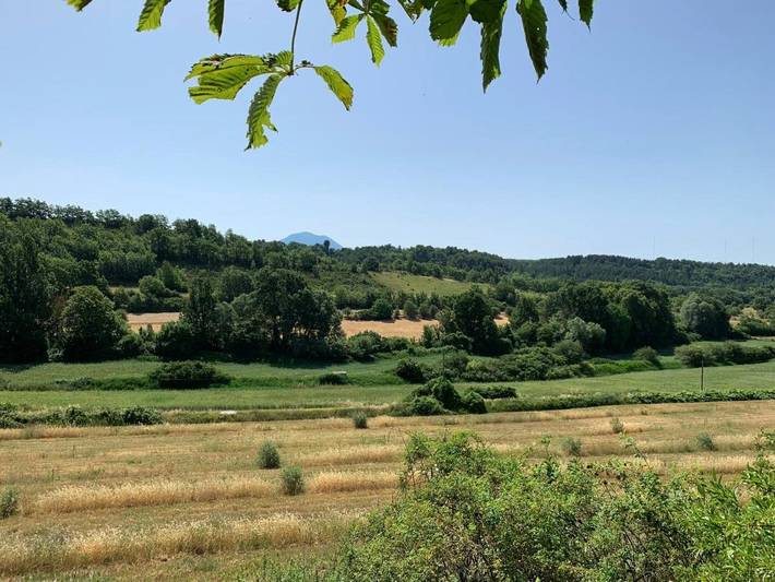 Gîte pour 4 personnes, avec vue et jardin, animaux acceptés à Roumoules - 2
